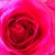 Kathryn A. Schulmeister's profile image