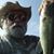 Richard Brown's profile image