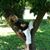 Kevin Creech's profile image