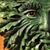 Don Rupp's profile image