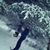 David Watson Rath's profile image
