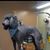 Donna Talbott Rivera's profile image