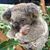 C.J. Carter's profile image