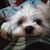 Matthew Galvez's profile image
