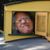 Jeffrey Ferris's profile image