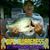 Jamie Atchison King's profile image