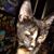 Donna Owens Erhardt's profile image