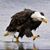 Anne Gee's profile image