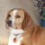Cindy Urbauer's profile image