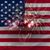 Sally Byrd Cravinho's profile image