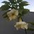 Faiza Nadeem's profile image