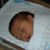 Rich Barrie- Corrie Kammler's profile image