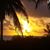 Jerry Greaves's profile image
