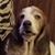 Joseph Harvey's profile image