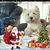 Phyllis Norton Steeves's profile image