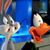 Donna Diani's profile image