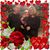 Crystal Aitchison's profile image