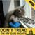 Nikki Westover-Rose's profile image