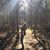 Alecia Etter's profile image