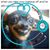 Doreen Defeo's profile image