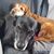 Bonnie Nordmark's profile image