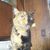 Dwight Keirstead's profile image