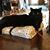 Lorraine Bailey's profile image