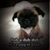 Connie Herzberg's profile image