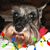 Theresa Knight's profile image