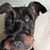 Diane Duffy's profile image