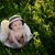 Mandy Keiner's profile image