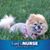 Imani Spirit's profile image
