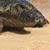 Sally Wells's profile image