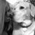 Yoki Watts's profile image