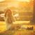 Anusha Gujjari's profile image