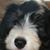 Joanne Vaughn's profile image