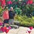 Deana Martin Wooten's profile image