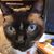 Linda Hall's profile image