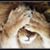 Claire Nardone's profile image
