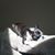 Ulrike Doucette's profile image