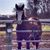 Vickey Fly's profile image