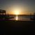 Mimi Burns Whitford's profile image