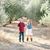 Julie Mezzano's profile image