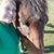 Tanikka Burns's profile image
