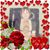 Amanda Lyn Strong Day-Bergen's profile image