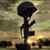 David Merwald's profile image