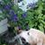 Cathie Wigen Munsey's profile image