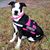 Angela Porterfield's profile image