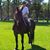 Jackie Martin's profile image
