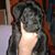 Mecleary Marie's profile image